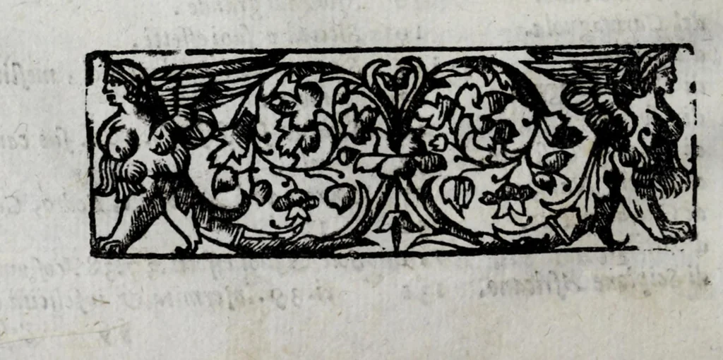 An illustration from Della celeste fisonomia di Gio. Battista della Porta Napoletano, libri sei : nei quali ributtata la vanità dell'astrologia giudiciaria, si dà maniera di essattamente conoscere per via delle cause naturali tutto quello, che l'aspetto, la presenza, & le fattezze de gl'huomini possono fisicamente significare, e promettere : opera noua, & piena di dotta curiosità, 1616, leaf 14
