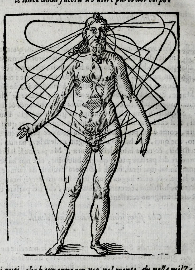 An illustration from Della celeste fisonomia di Gio. Battista della Porta Napoletano, libri sei : nei quali ributtata la vanità dell'astrologia giudiciaria, si dà maniera di essattamente conoscere per via delle cause naturali tutto quello, che l'aspetto, la presenza, & le fattezze de gl'huomini possono fisicamente significare, e promettere : opera noua, & piena di dotta curiosità, 1616, leaf 142