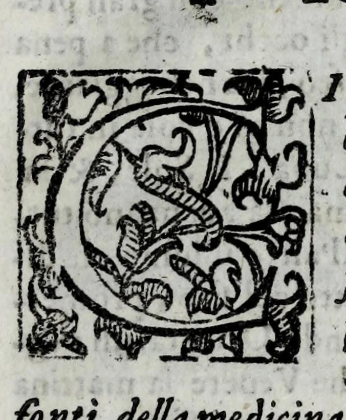 An illustration from Della celeste fisonomia di Gio. Battista della Porta Napoletano, libri sei : nei quali ributtata la vanità dell'astrologia giudiciaria, si dà maniera di essattamente conoscere per via delle cause naturali tutto quello, che l'aspetto, la presenza, & le fattezze de gl'huomini possono fisicamente significare, e promettere : opera noua, & piena di dotta curiosità, 1616, leaf 149