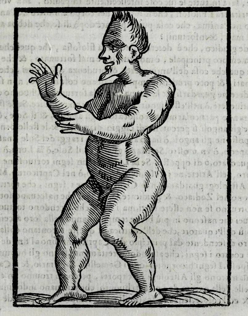 An illustration from Della celeste fisonomia di Gio. Battista della Porta Napoletano, libri sei : nei quali ributtata la vanità dell'astrologia giudiciaria, si dà maniera di essattamente conoscere per via delle cause naturali tutto quello, che l'aspetto, la presenza, & le fattezze de gl'huomini possono fisicamente significare, e promettere : opera noua, & piena di dotta curiosità, 1616, leaf 155