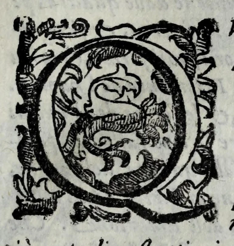 An illustration from Della celeste fisonomia di Gio. Battista della Porta Napoletano, libri sei : nei quali ributtata la vanità dell'astrologia giudiciaria, si dà maniera di essattamente conoscere per via delle cause naturali tutto quello, che l'aspetto, la presenza, & le fattezze de gl'huomini possono fisicamente significare, e promettere : opera noua, & piena di dotta curiosità, 1616, leaf 17