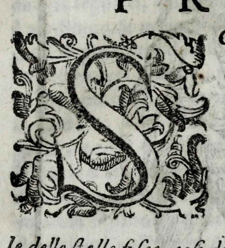 An illustration from Della celeste fisonomia di Gio. Battista della Porta Napoletano, libri sei : nei quali ributtata la vanità dell'astrologia giudiciaria, si dà maniera di essattamente conoscere per via delle cause naturali tutto quello, che l'aspetto, la presenza, & le fattezze de gl'huomini possono fisicamente significare, e promettere : opera noua, & piena di dotta curiosità, 1616, leaf 31