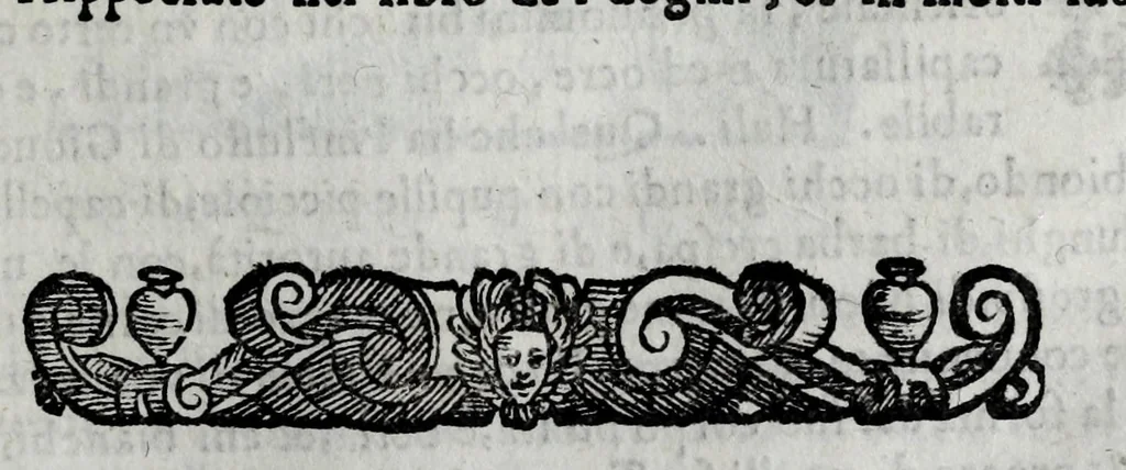 An illustration from Della celeste fisonomia di Gio. Battista della Porta Napoletano, libri sei : nei quali ributtata la vanità dell'astrologia giudiciaria, si dà maniera di essattamente conoscere per via delle cause naturali tutto quello, che l'aspetto, la presenza, & le fattezze de gl'huomini possono fisicamente significare, e promettere : opera noua, & piena di dotta curiosità, 1616, leaf 37