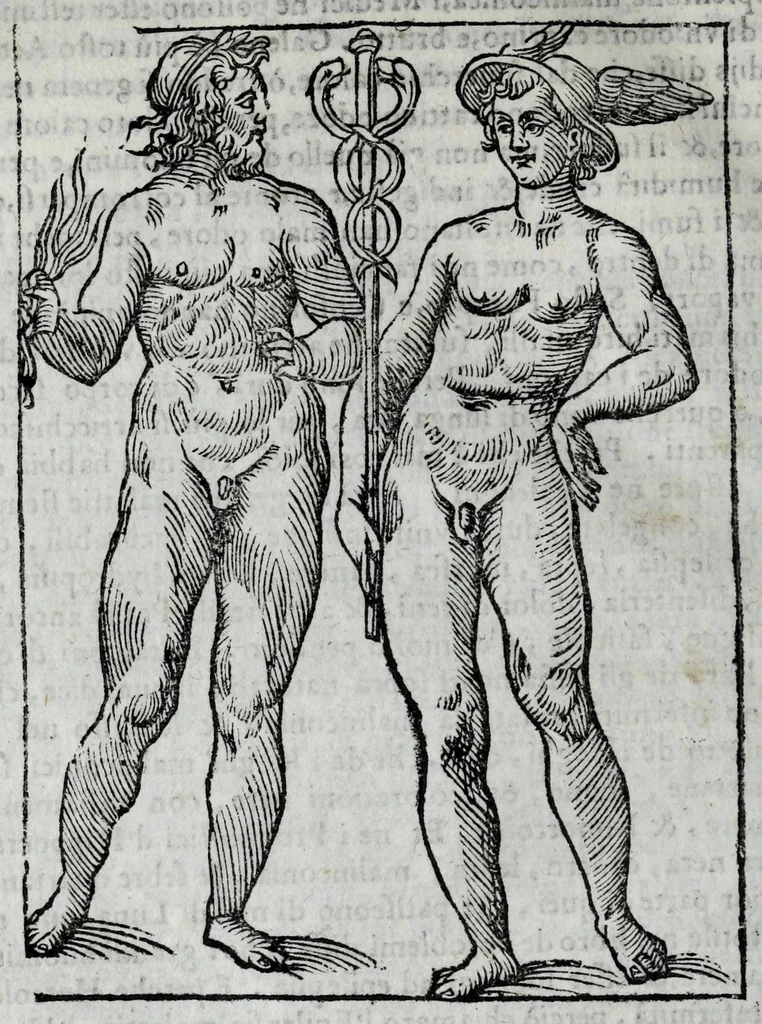 An illustration from Della celeste fisonomia di Gio. Battista della Porta Napoletano, libri sei : nei quali ributtata la vanità dell'astrologia giudiciaria, si dà maniera di essattamente conoscere per via delle cause naturali tutto quello, che l'aspetto, la presenza, & le fattezze de gl'huomini possono fisicamente significare, e promettere : opera noua, & piena di dotta curiosità, 1616, leaf 38