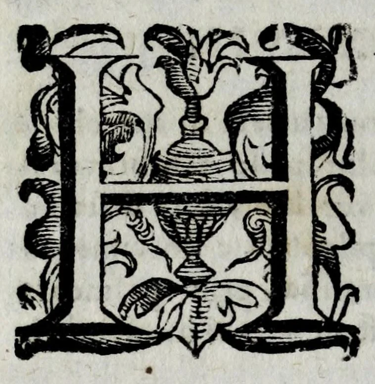 An illustration from Della celeste fisonomia di Gio. Battista della Porta Napoletano, libri sei : nei quali ributtata la vanità dell'astrologia giudiciaria, si dà maniera di essattamente conoscere per via delle cause naturali tutto quello, che l'aspetto, la presenza, & le fattezze de gl'huomini possono fisicamente significare, e promettere : opera noua, & piena di dotta curiosità, 1616, leaf 76