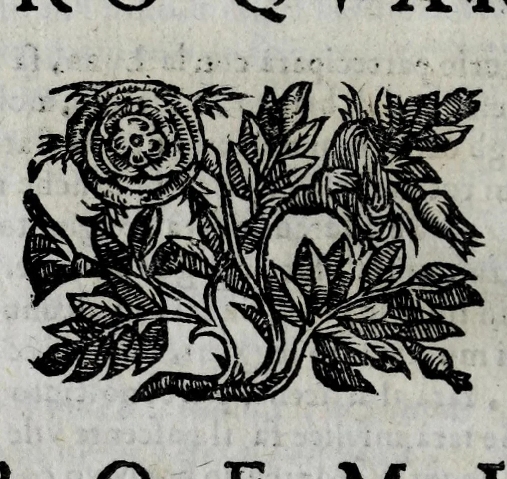 An illustration from Della celeste fisonomia di Gio. Battista della Porta Napoletano, libri sei : nei quali ributtata la vanità dell'astrologia giudiciaria, si dà maniera di essattamente conoscere per via delle cause naturali tutto quello, che l'aspetto, la presenza, & le fattezze de gl'huomini possono fisicamente significare, e promettere : opera noua, & piena di dotta curiosità, 1616, leaf 94