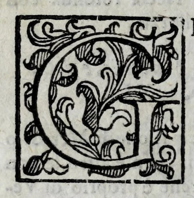 An illustration from Della celeste fisonomia di Gio. Battista della Porta Napoletano, libri sei : nei quali ributtata la vanità dell'astrologia giudiciaria, si dà maniera di essattamente conoscere per via delle cause naturali tutto quello, che l'aspetto, la presenza, & le fattezze de gl'huomini possono fisicamente significare, e promettere : opera noua, & piena di dotta curiosità, 1616, leaf 94