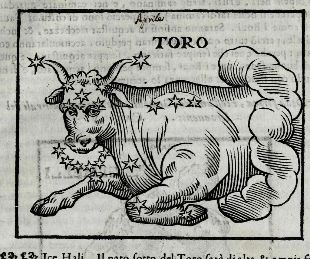 An illustration from Della celeste fisonomia di Gio. Battista della Porta Napoletano, libri sei : nei quali ributtata la vanità dell'astrologia giudiciaria, si dà maniera di essattamente conoscere per via delle cause naturali tutto quello, che l'aspetto, la presenza, & le fattezze de gl'huomini possono fisicamente significare, e promettere : opera noua, & piena di dotta curiosità, 1616, leaf 99