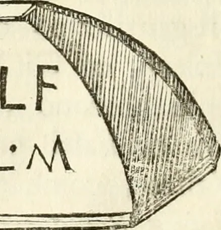 An illustration from Della citta di Aveia ne Vestini ed altri luoghi di antica memoria : dissertazione, 1773, leaf 45
