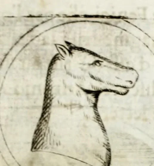 An illustration from Della descrittione di Malta isola nel mare Siciliano : con le sue antichita, ed altre notitie : libri quattro, 1647, leaf 225