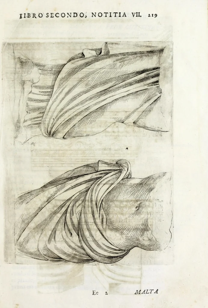 An illustration from Della descrittione di Malta isola nel mare Siciliano : con le sue antichita, ed altre notitie : libri quattro, 1647, leaf 241
