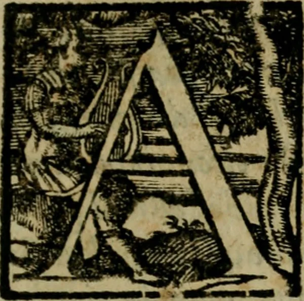 An illustration from Della espvgnatione et difesa delle fortezze di Gabriello Bvsca milanese libri due, 1585, leaf 106