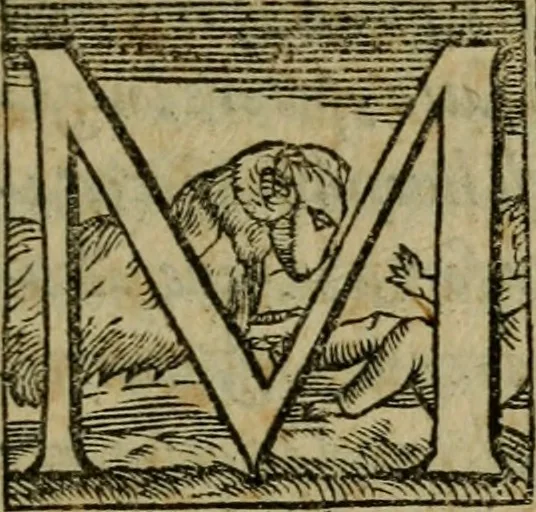 An illustration from Della espvgnatione et difesa delle fortezze di Gabriello Bvsca milanese libri due, 1585, leaf 14