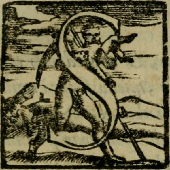 An illustration from Della espvgnatione et difesa delle fortezze di Gabriello Bvsca milanese libri due, 1585, leaf 158