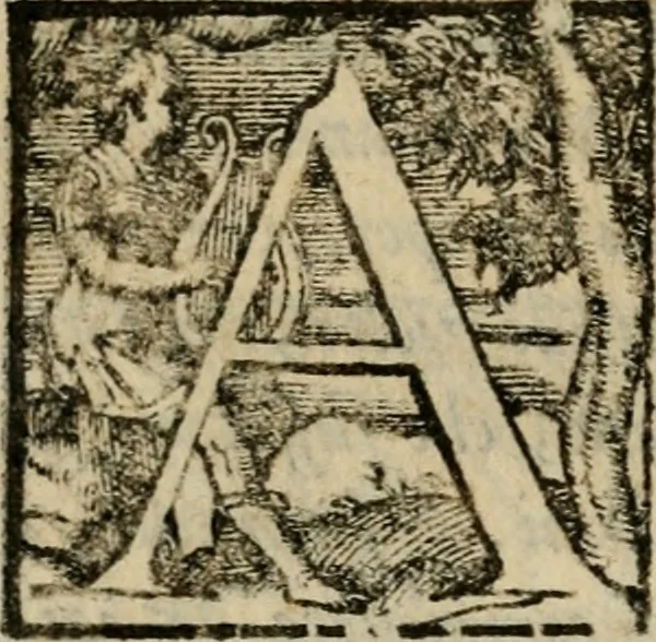An illustration from Della espvgnatione et difesa delle fortezze di Gabriello Bvsca milanese libri due, 1585, leaf 161