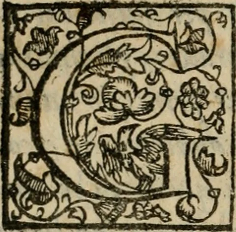 An illustration from Della espvgnatione et difesa delle fortezze di Gabriello Bvsca milanese libri due, 1585, leaf 197