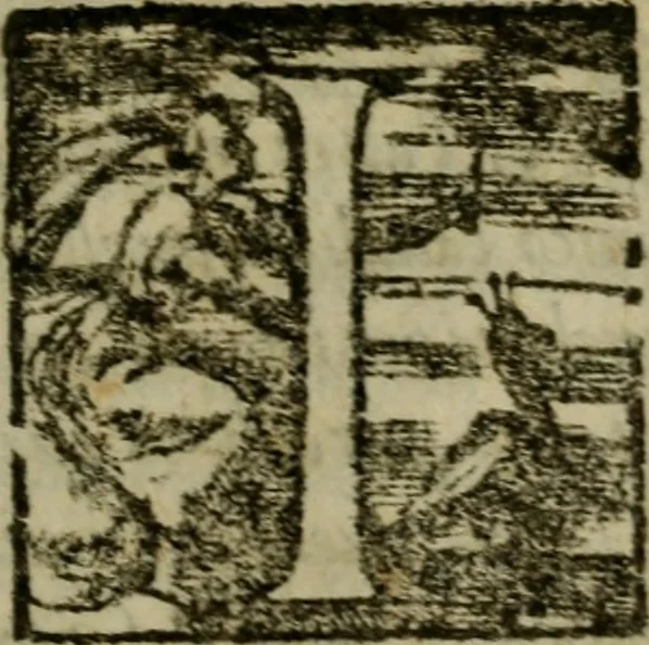An illustration from Della espvgnatione et difesa delle fortezze di Gabriello Bvsca milanese libri due, 1585, leaf 212