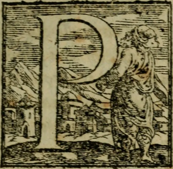 An illustration from Della espvgnatione et difesa delle fortezze di Gabriello Bvsca milanese libri due, 1585, leaf 218