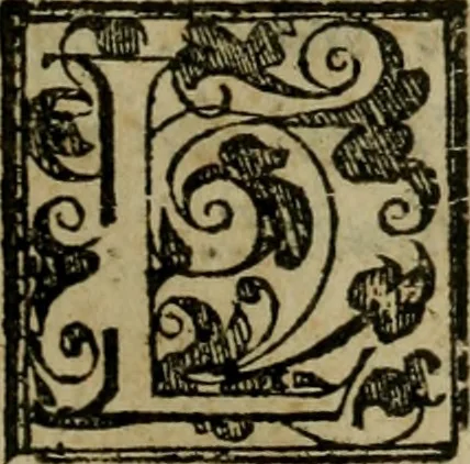 An illustration from Della espvgnatione et difesa delle fortezze di Gabriello Bvsca milanese libri due, 1585, leaf 232