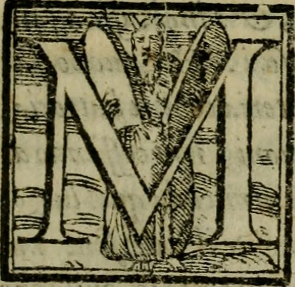 An illustration from Della espvgnatione et difesa delle fortezze di Gabriello Bvsca milanese libri due, 1585, leaf 238