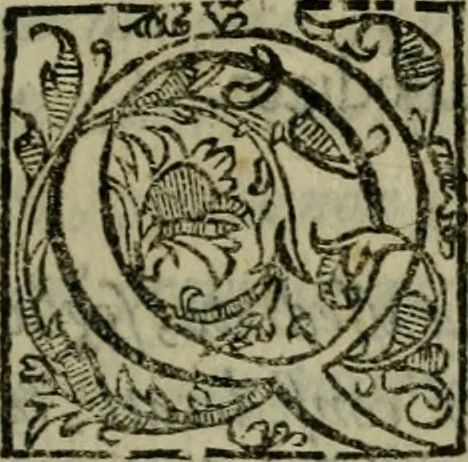 An illustration from Della espvgnatione et difesa delle fortezze di Gabriello Bvsca milanese libri due, 1585, leaf 258