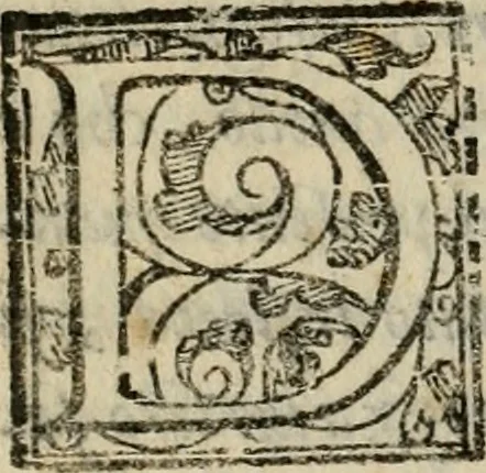An illustration from Della espvgnatione et difesa delle fortezze di Gabriello Bvsca milanese libri due, 1585, leaf 259