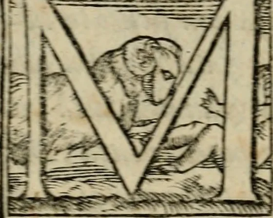 An illustration from Della espvgnatione et difesa delle fortezze di Gabriello Bvsca milanese libri due, 1585, leaf 95