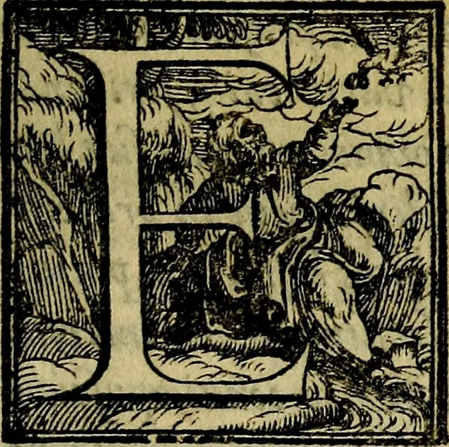 An illustration from Della famiglia de Medici, 1610, leaf 20