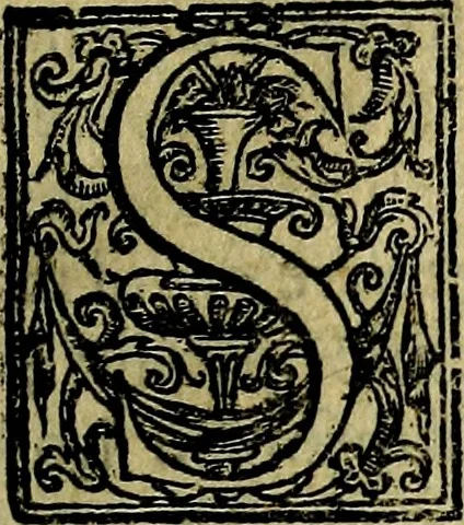 An illustration from Della famiglia de Medici, 1610, leaf 22