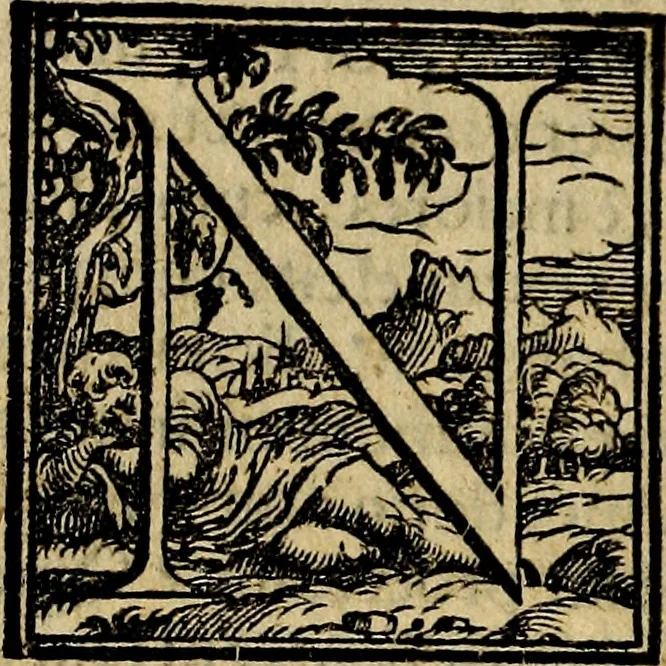 An illustration from Della famiglia de Medici, 1610, leaf 33