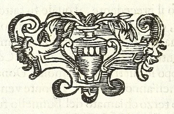 An illustration from Della felicità di Padoua di Angelo Portenari Padouano agosto. libri noue : nelli quali, mentre con nuouo ordine historico si proua ritrouarsi nella città di Padoua le conditioni alla felicità ciuile pertinenti : si raccontano gli antichi, e moderni suoi pregi, & honori et in particolare si commemorano li cittadinj suoi illustri per santità, prelature, lettere, arme, e magistrati, 1623, leaf 144