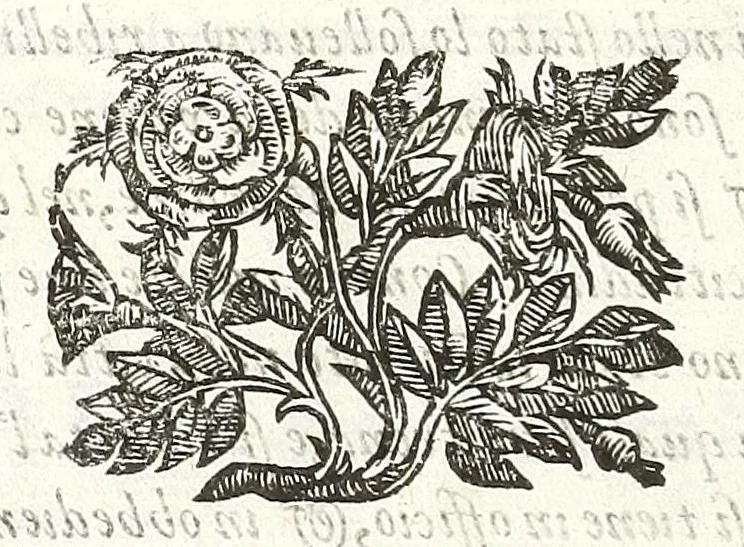An illustration from Della felicità di Padoua di Angelo Portenari Padouano agosto. libri noue : nelli quali, mentre con nuouo ordine historico si proua ritrouarsi nella città di Padoua le conditioni alla felicità ciuile pertinenti : si raccontano gli antichi, e moderni suoi pregi, & honori et in particolare si commemorano li cittadinj suoi illustri per santità, prelature, lettere, arme, e magistrati, 1623, leaf 180