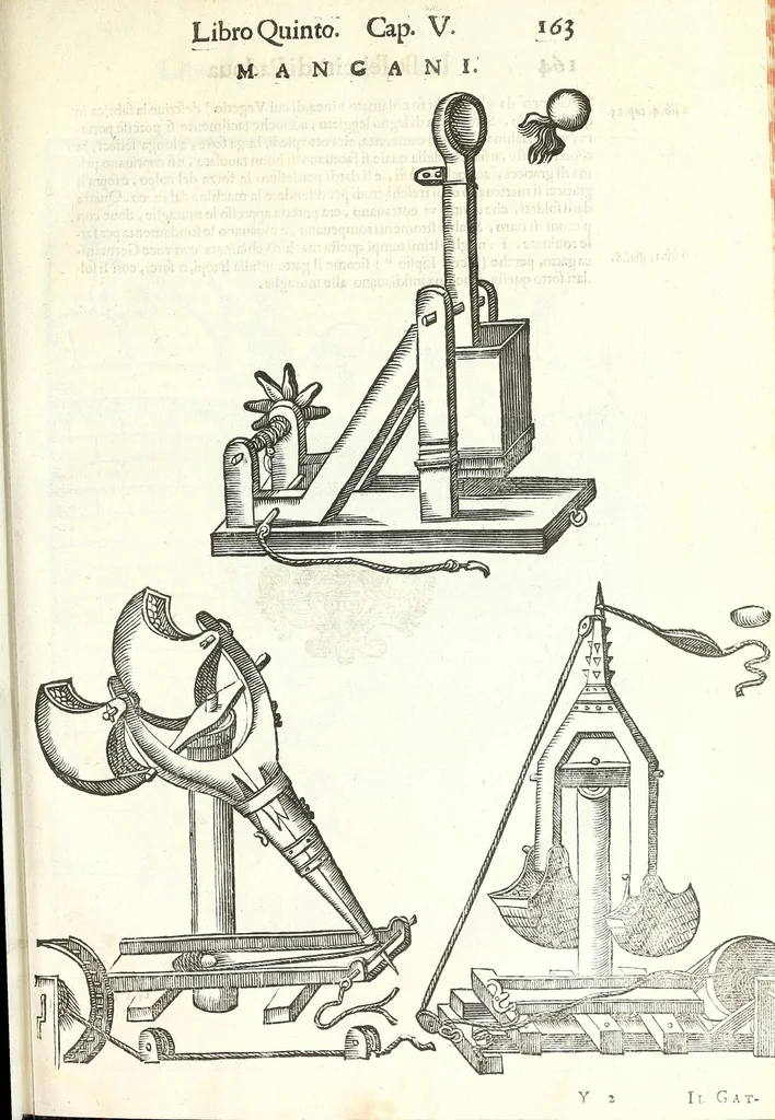 An illustration from Della felicità di Padoua di Angelo Portenari Padouano agosto. libri noue : nelli quali, mentre con nuouo ordine historico si proua ritrouarsi nella città di Padoua le conditioni alla felicità ciuile pertinenti : si raccontano gli antichi, e moderni suoi pregi, & honori et in particolare si commemorano li cittadinj suoi illustri per santità, prelature, lettere, arme, e magistrati, 1623, leaf 193