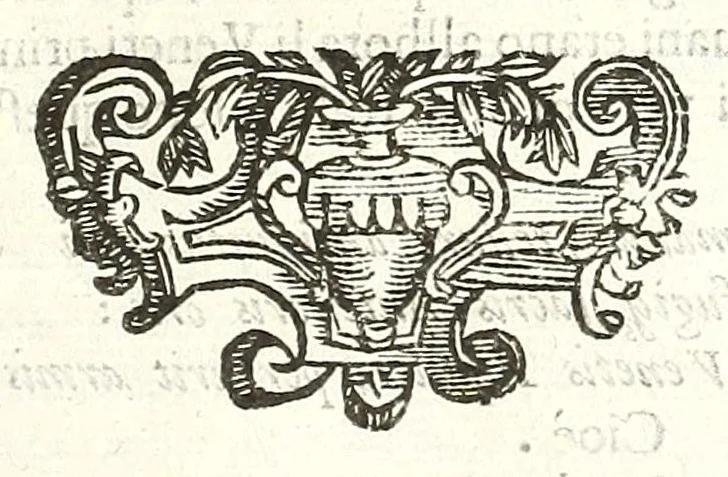 An illustration from Della felicità di Padoua di Angelo Portenari Padouano agosto. libri noue : nelli quali, mentre con nuouo ordine historico si proua ritrouarsi nella città di Padoua le conditioni alla felicità ciuile pertinenti : si raccontano gli antichi, e moderni suoi pregi, & honori et in particolare si commemorano li cittadinj suoi illustri per santità, prelature, lettere, arme, e magistrati, 1623, leaf 225