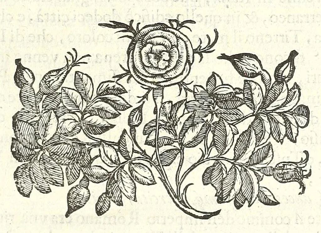 An illustration from Della felicità di Padoua di Angelo Portenari Padouano agosto. libri noue : nelli quali, mentre con nuouo ordine historico si proua ritrouarsi nella città di Padoua le conditioni alla felicità ciuile pertinenti : si raccontano gli antichi, e moderni suoi pregi, & honori et in particolare si commemorano li cittadinj suoi illustri per santità, prelature, lettere, arme, e magistrati, 1623, leaf 33