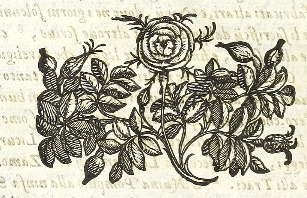 An illustration from Della felicità di Padoua di Angelo Portenari Padouano agosto. libri noue : nelli quali, mentre con nuouo ordine historico si proua ritrouarsi nella città di Padoua le conditioni alla felicità ciuile pertinenti : si raccontano gli antichi, e moderni suoi pregi, & honori et in particolare si commemorano li cittadinj suoi illustri per santità, prelature, lettere, arme, e magistrati, 1623, leaf 402