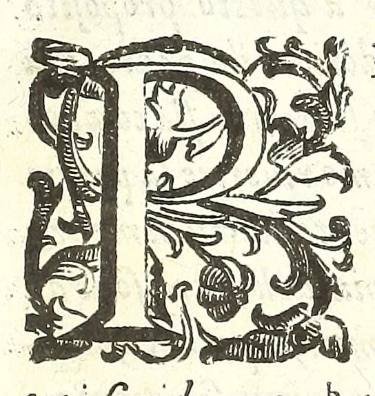 An illustration from Della felicità di Padoua di Angelo Portenari Padouano agosto. libri noue : nelli quali, mentre con nuouo ordine historico si proua ritrouarsi nella città di Padoua le conditioni alla felicità ciuile pertinenti : si raccontano gli antichi, e moderni suoi pregi, & honori et in particolare si commemorano li cittadinj suoi illustri per santità, prelature, lettere, arme, e magistrati, 1623, leaf 7