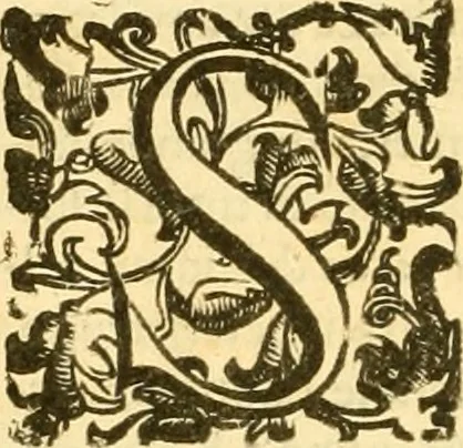An illustration from Della felicità di Padova, 1623, leaf 107