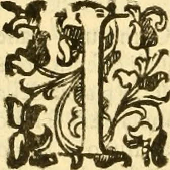 An illustration from Della felicità di Padova, 1623, leaf 133