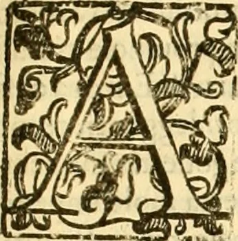 An illustration from Della felicità di Padova, 1623, leaf 136