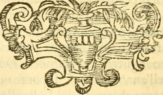 An illustration from Della felicità di Padova, 1623, leaf 143