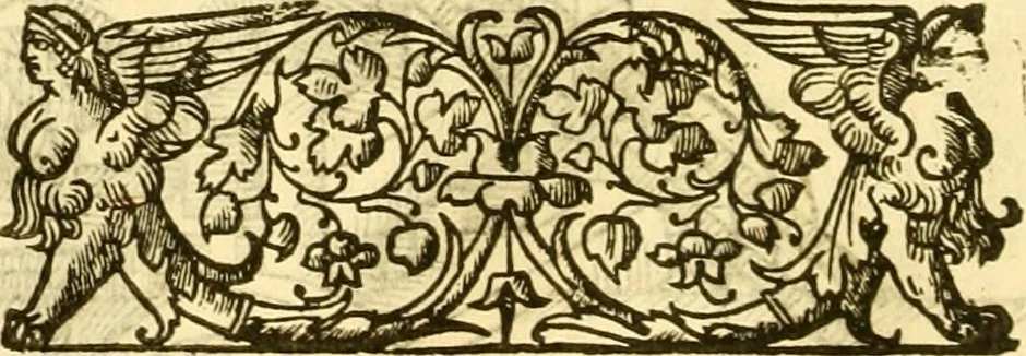 An illustration from Della felicità di Padova, 1623, leaf 193