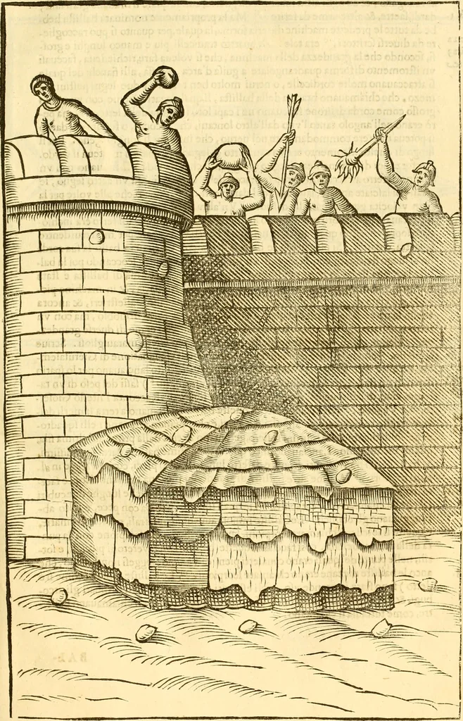 An illustration from Della felicità di Padova, 1623, leaf 196