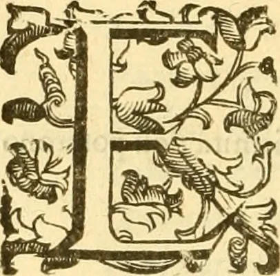 An illustration from Della felicità di Padova, 1623, leaf 223