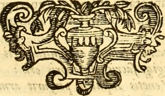 An illustration from Della felicità di Padova, 1623, leaf 224