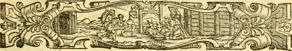 An illustration from Della felicità di Padova, 1623, leaf 26