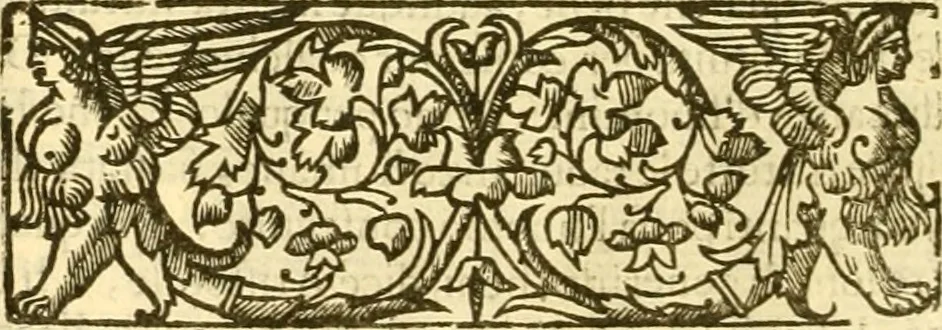 An illustration from Della felicità di Padova, 1623, leaf 29