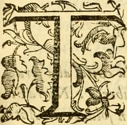 An illustration from Della felicità di Padova, 1623, leaf 322