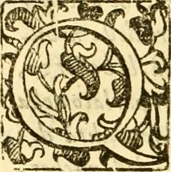 An illustration from Della felicità di Padova, 1623, leaf 325