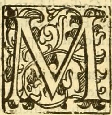An illustration from Della felicità di Padova, 1623, leaf 361